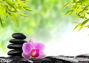 Tranh cảnh đẹp spa hoa lan