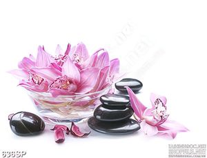 Tranh hoa lan và đá đen spa