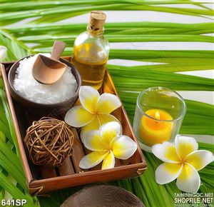 Tranh spa hoa sứ nhiệt đới mùa hè