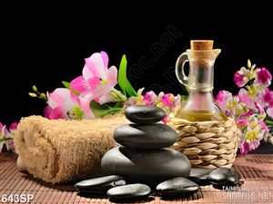 Tranh đẹp hoa và dầu oliu mới nhất