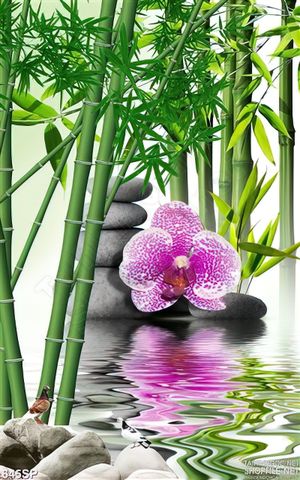 Tranh đẹp cành trúc và hoa in spa