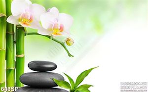 Tranh đẹp in spa hoa lan và đá cuội