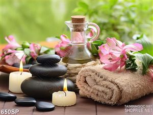 Tranh mới nhất spa in hoa nến