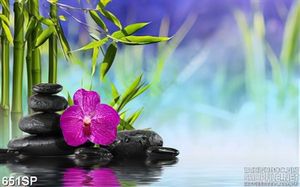 Tranh spa cảnh đẹp in tường