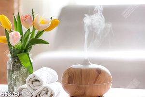 Tranh máy xông hơi và hoa tulip