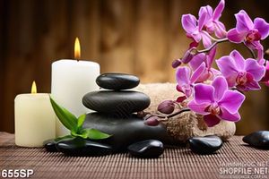Tranh spa đẹp hoa lan và nến