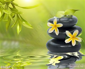 Tranh hoa lan sức vàng in uv