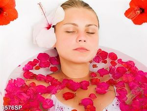 Tranh ngâm mình thư giãn SP6576