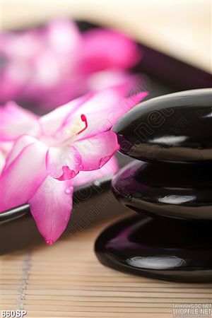 Tranh hoa và đá cuội spa