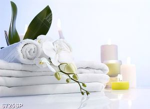 Tranh cành hoa lan và khăn trắng SP6725