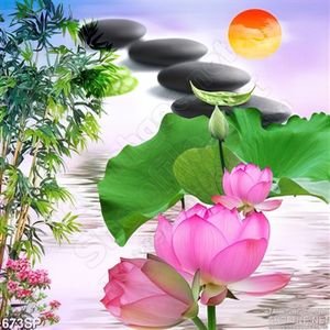 Tranh hoa sen mới nhất và đá spa