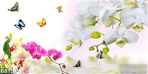 Tranh psd thiên nhiên hoa lan bướm
