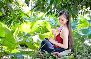 Tranh cô gái cầm bông sen in file gốc