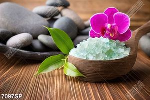 Tranh đá muối spa và hoa