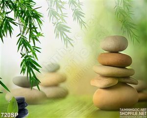 Tranh đẹp in tường cành trúc và đá cuội