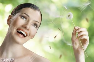 Tranh gương mặt xinh đẹp SP7349