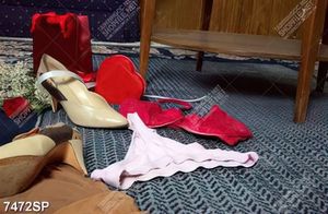 Tranh đôi guốc và nội y gợi cảm