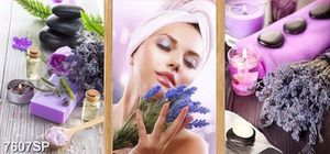 Tranh người đẹp và hoa oải hương in file gốc