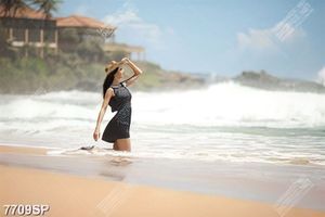 Tranh người đẹp bên bãi biển