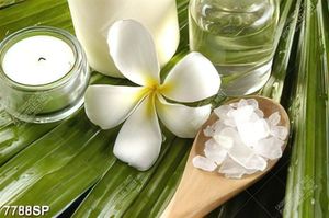 Tranh hoa trắng và muối đá