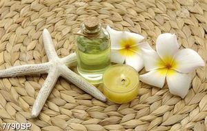 Tranh hoa sứ và tinh dầu