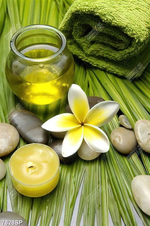 Tranh hoa sứ và ngọn nến SP7828