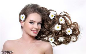 Tranh người mẫu tóc SP7839