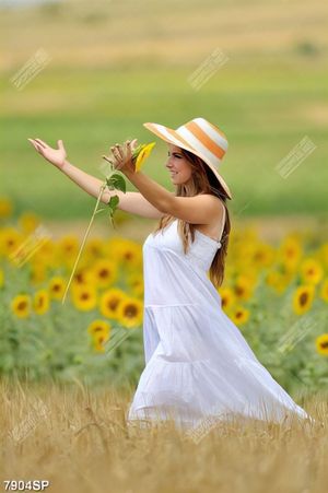 Tranh cô gái đứng bên cánh đồng hoa hướng dương