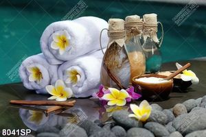 Tranh hoa sứ và khăn trắng