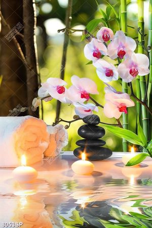 Tranh canh hoa lan và ngọn nến