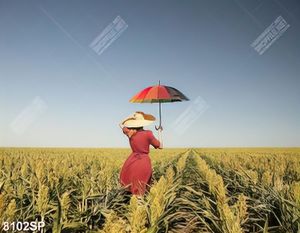 Tranh cô gái đứng giữa cánh đồng hoa
