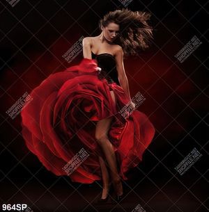 Tranh canvas cô gái hoa hồng treo tường spa