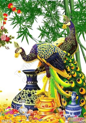 Tranh Tài Lộc, tranh Tết chim Công kim tiền