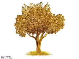 Tranh cây kim tiền decor phòng khách