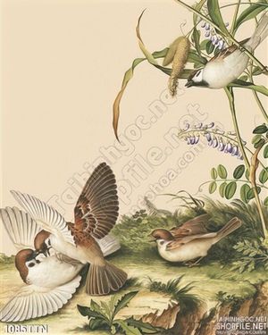 Tranh thư pháp hoa nghệ thuật