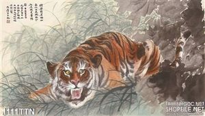 Tranh thư pháp con hổ treo tường