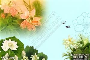 Tranh phong thủy cá chép và hoa sen