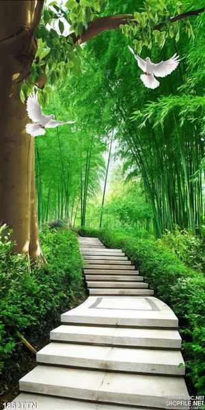Tranh psd khổ dọc con đường tre