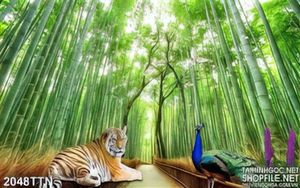 Tranh wall rừng tre chim công và hổ