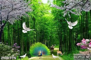 Tranh psd phong cảnh thiên nhiên rừng Trúc