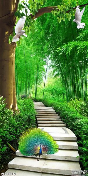 Tranh wall khu rừng tre và chim công psd