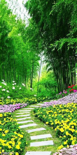 Tranh con đường vào rừng tre in 3D
