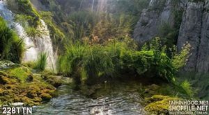 Tranh thác nước thiên nhiên