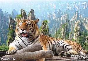 Tranh psd sơn thủy và hổ