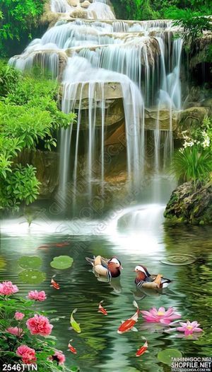 Tranh in 3D thác nước thiên nhiên và hoa Sen