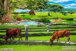 Tranh phong cảnh đi chăn trâu đẹp