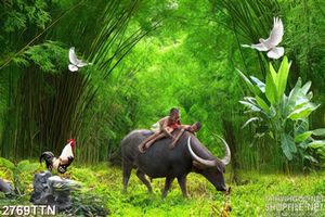 Tranh cậu bé chăn trâu đẹp wall