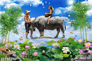 Tranh phong thủy chăn trâu trong đầm sen