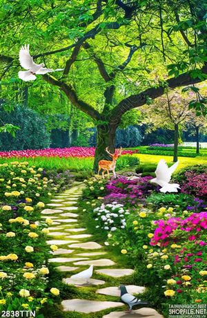 Tranh thiên nhiên cảnh xanh bồ câu đẹp