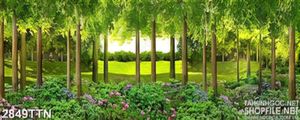 Tranh phong cảnh thiên nhiên vườn hoa
